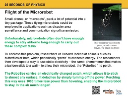 Flight of the Microbot