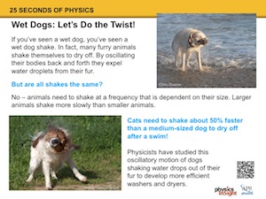 Wet Dogs: Let’s Do the Twist!