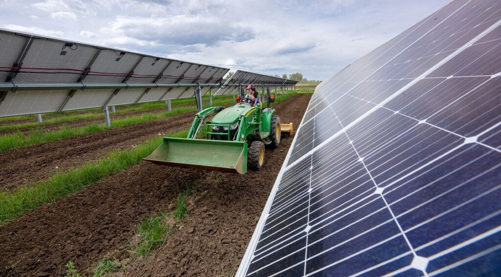 A farmer tills soil on a Colorado farm under solar panels