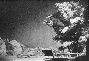 History Of Infrared Photography