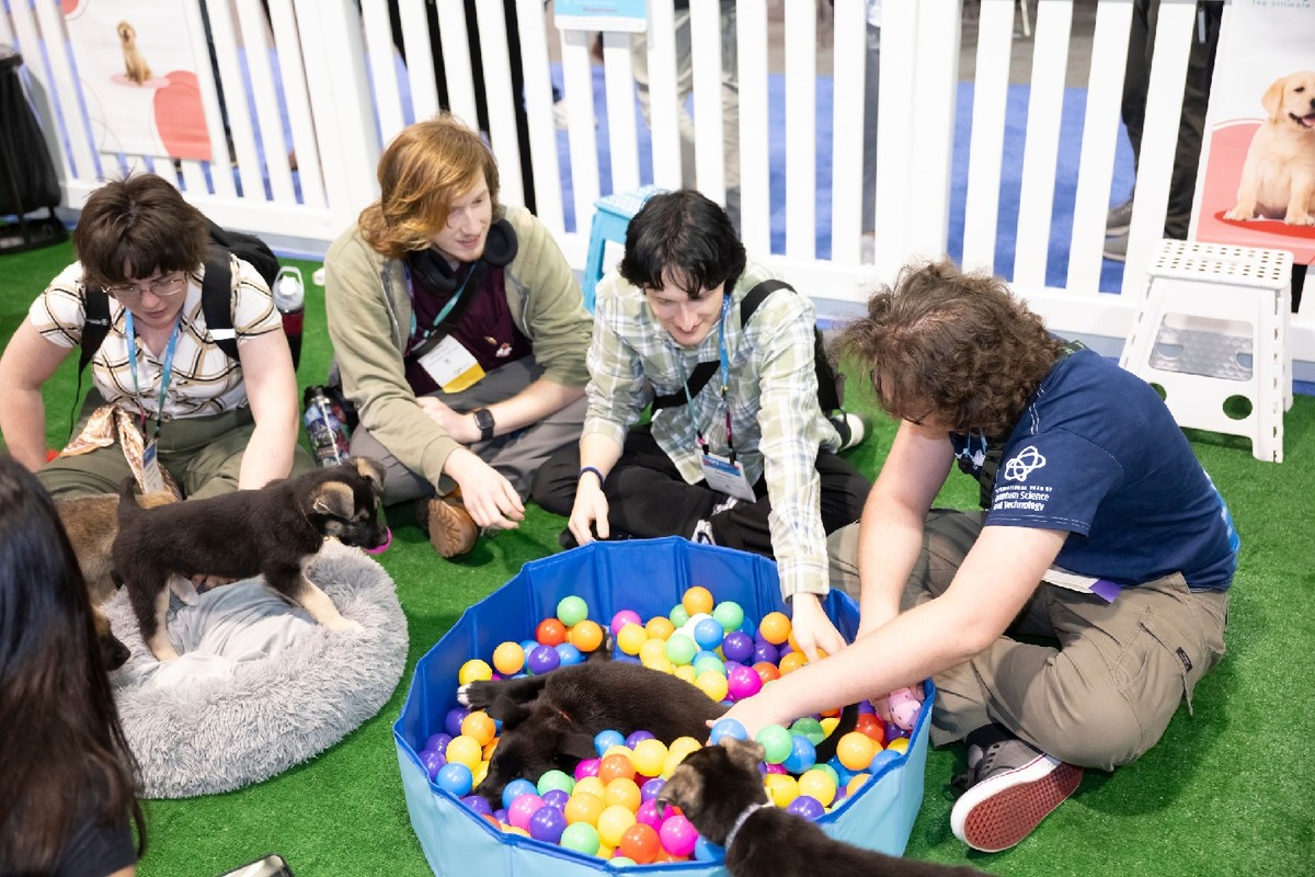 Students at the sponsored puppy petting lounge at the APS Global Physics Summit 2025