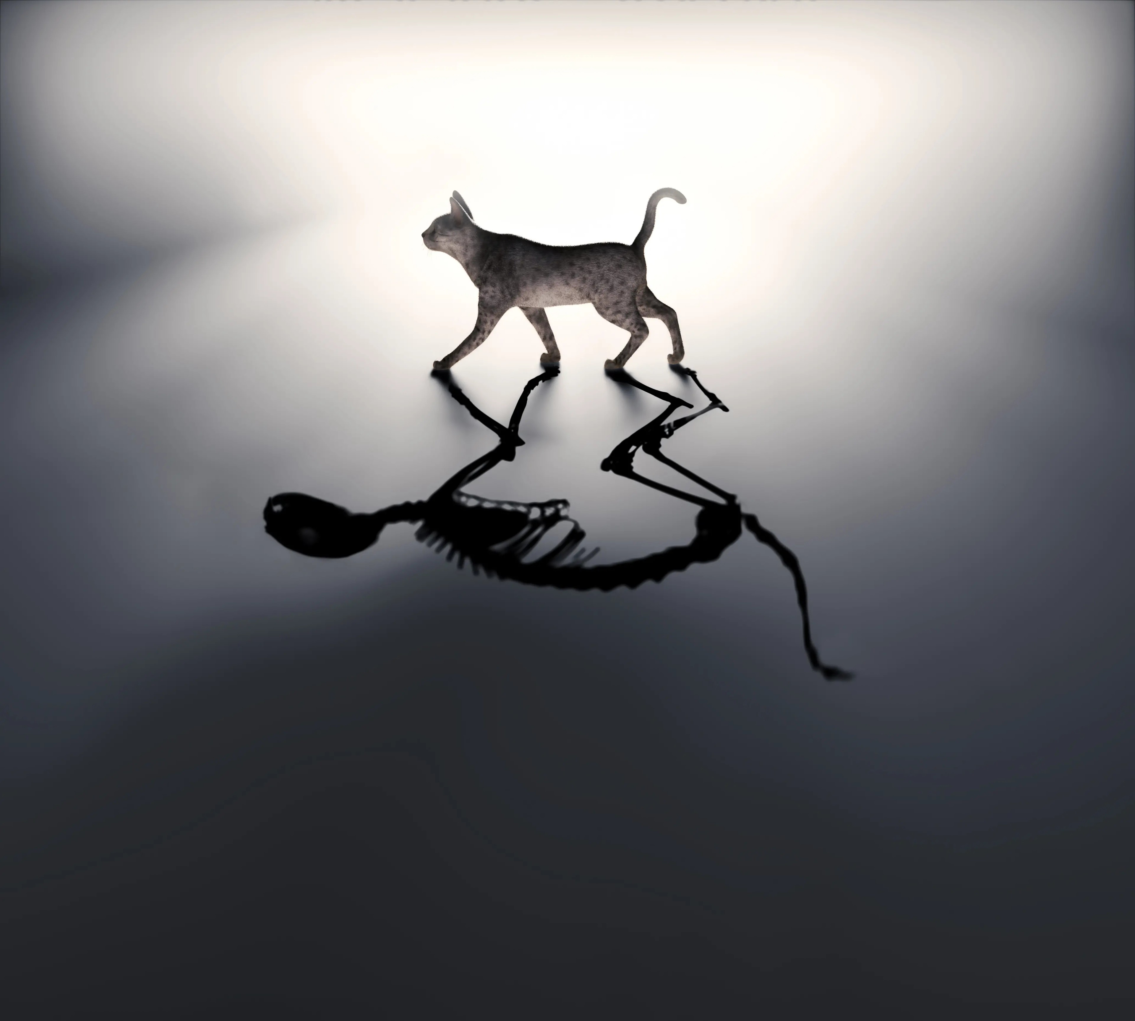 The “Schrödinger’s cat” thought experiment, conceived in 1935, is one of physics’ most famous paradoxes—and an enduring example of the challenge of teaching quantum mechanics.