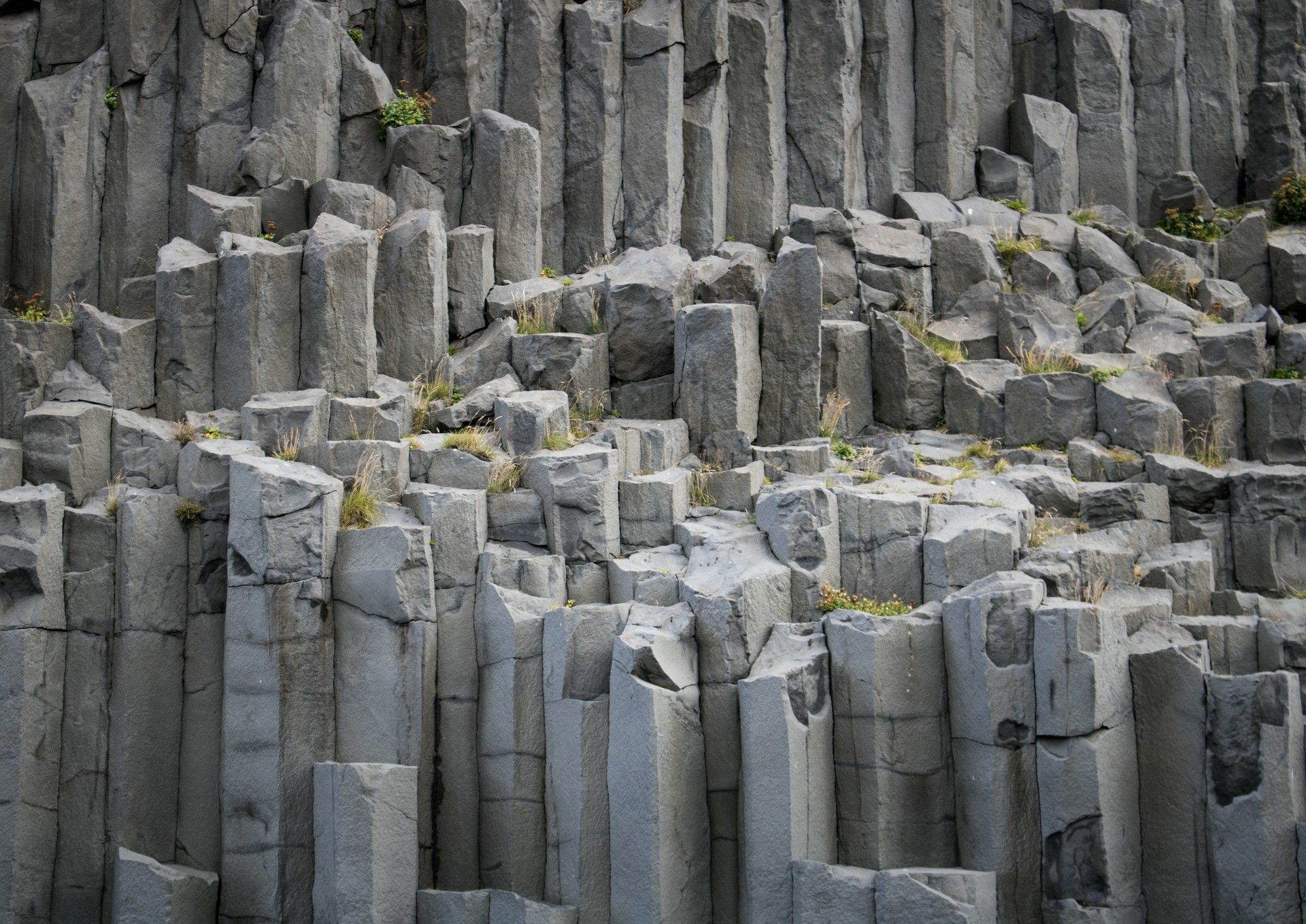 Close-up of columnar basalt formations, showing vertical gray stone pillars naturally fractured into geometric patterns. Small plants and grasses grow between the cracks.