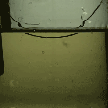 Bubble forming in oil bath