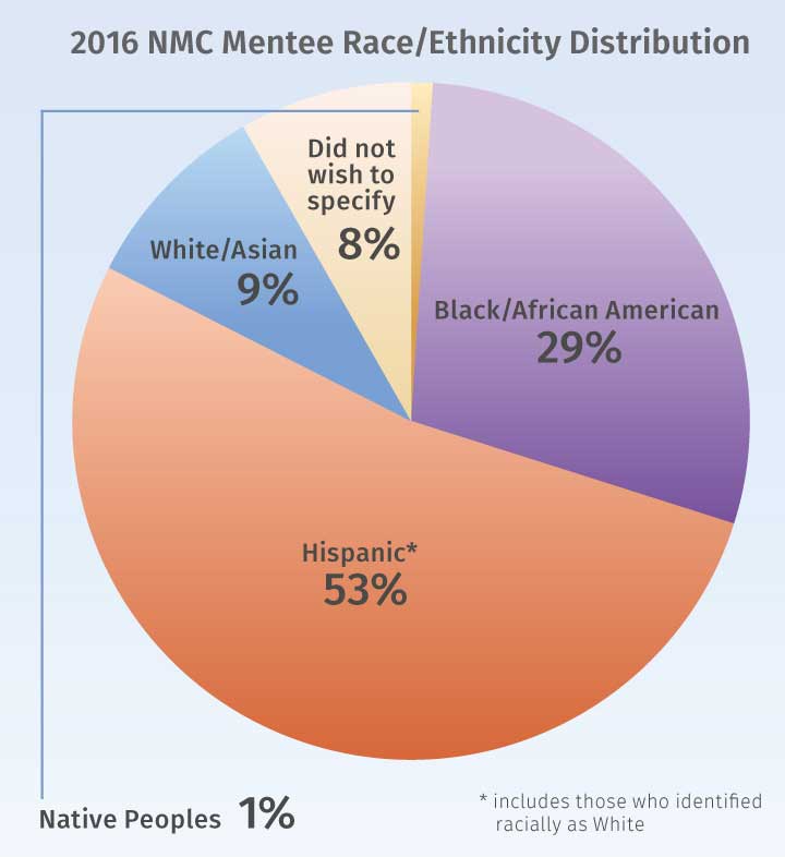 Graph on Mentee Race and Ethnicity