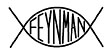 feynman bumper