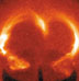 3-D Laboratory Simulations of Solar Eruptions: Laboratory simulation of solar prominences. (Image courtesy of Paul Bellan, Caltech)