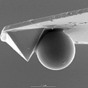 A 5µm silica sphere glued to a standard AFM cantilever was used to obtain stable and repeatable measurements over the area of individual cell.