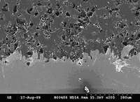 Cross-sectional SEM image of the Al/diamond composite on a brass substrate