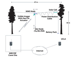 Schematic diagram of an embedded wireless sensor network