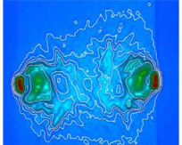 Two rapidly expanding plasma bubbles collide