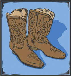 Texas boots web