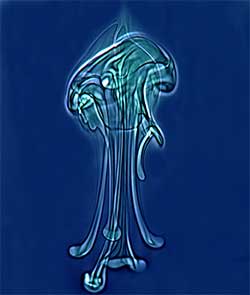 jellyfish pattern