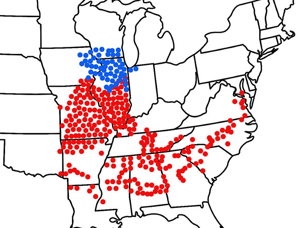 cicadas 2024 map